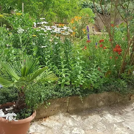 Penthouse Borik Zadar-large Terrace With Sea View
