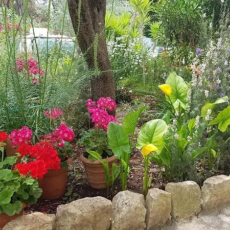 Apartment Penthouse Borik Zadar-large Terrace With Sea View Zadar