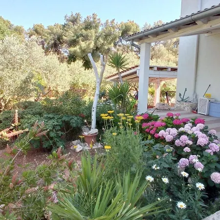 Penthouse Borik Zadar-large Terrace With Sea View Apartman *